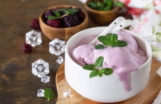 vegan ice cream recipe vegan ice cream recipe